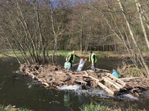 mini-Eco Ramassage 25 mars 2017 (15)